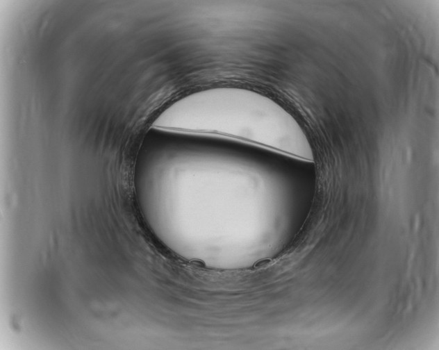 X0000095900044200801110815