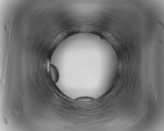X0000095900046200801110815