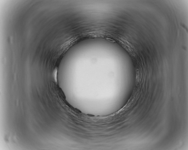 X0000095900047200801110815