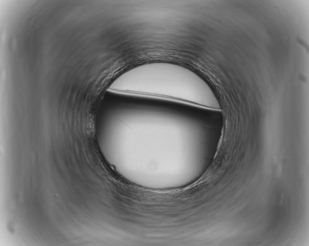 X0000095900048200801110815