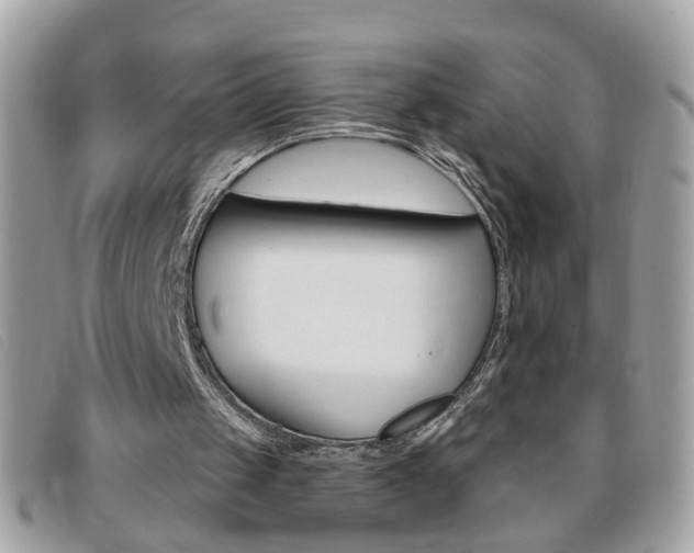 X0000095900049200801110814