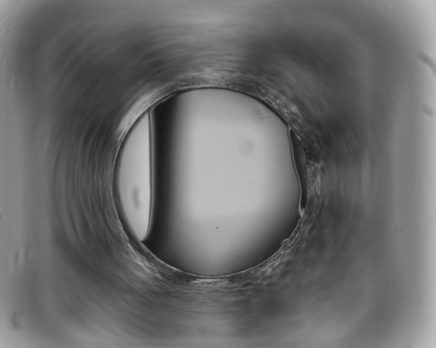 X0000095900051200801110814