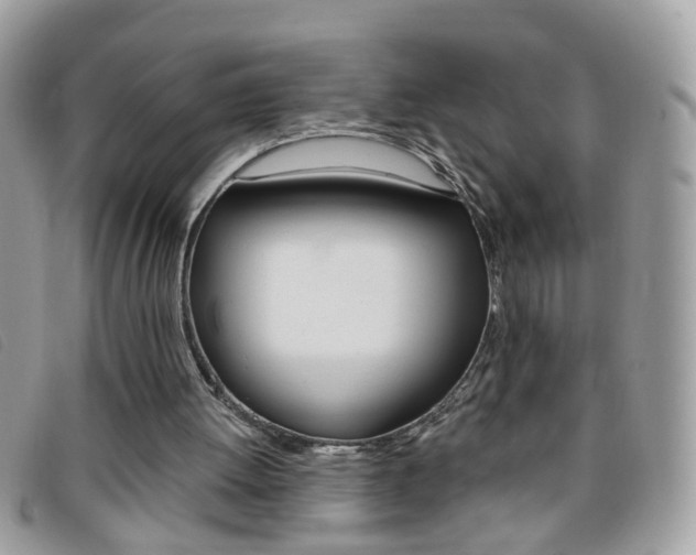 X0000095900052200801110814