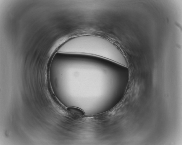 X0000095900054200801110814