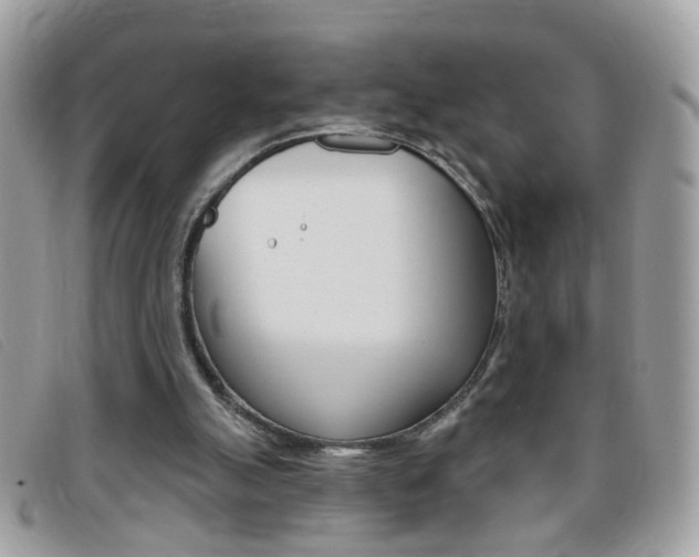 X0000095900055200801110814
