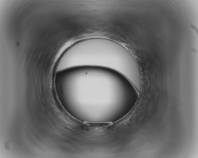 X0000095900056200801110814