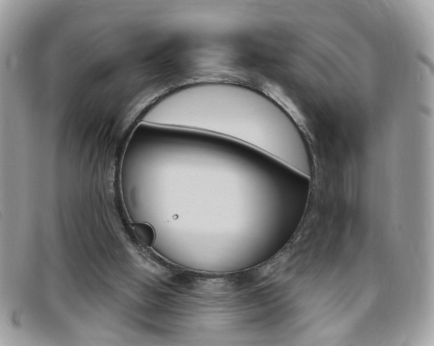 X0000095900058200801110814