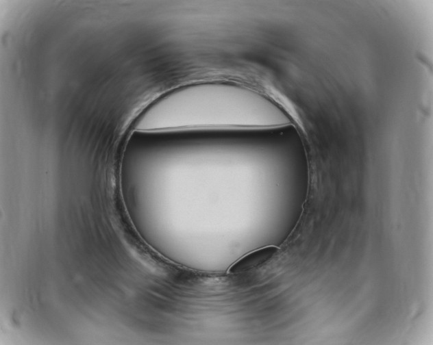 X0000095900059200801110814