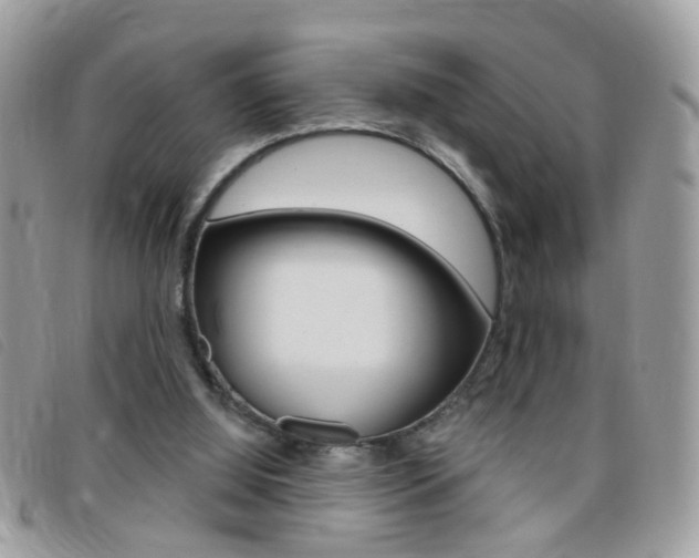 X0000095900060200801110814