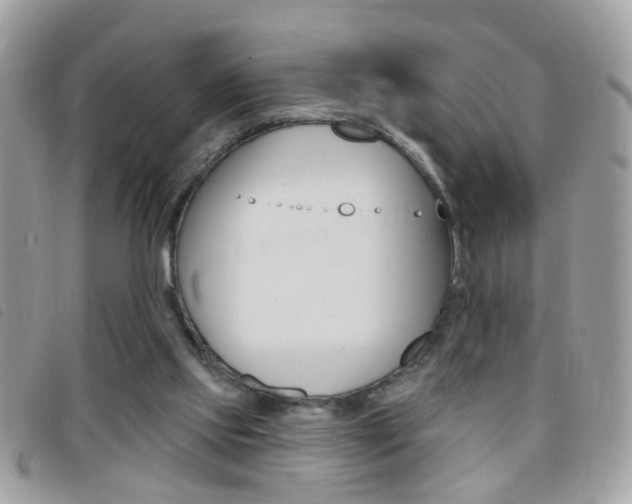 X0000095900061200801110814