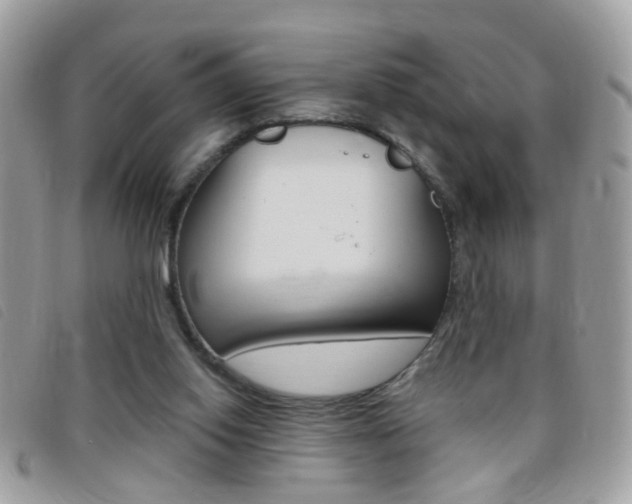 X0000095900062200801110814