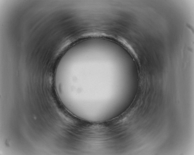 X0000095900063200801110814