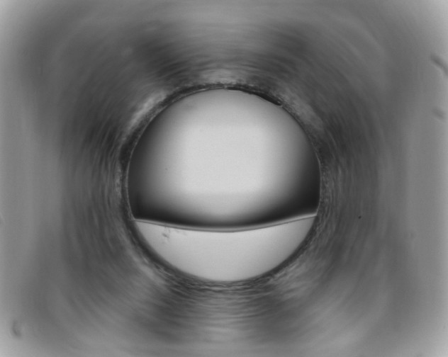 X0000095900064200801110814