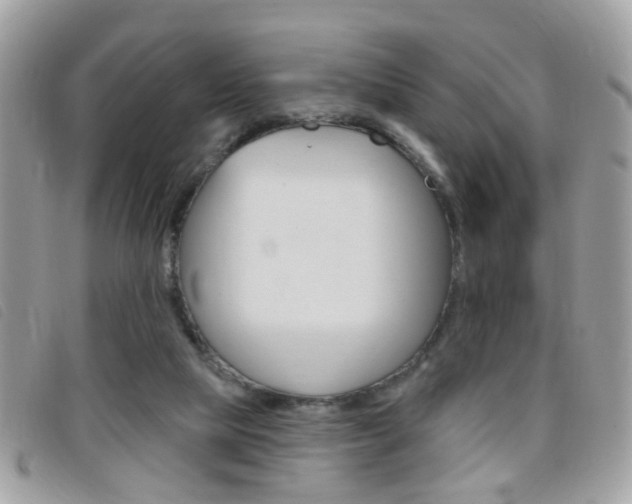X0000095900065200801110814