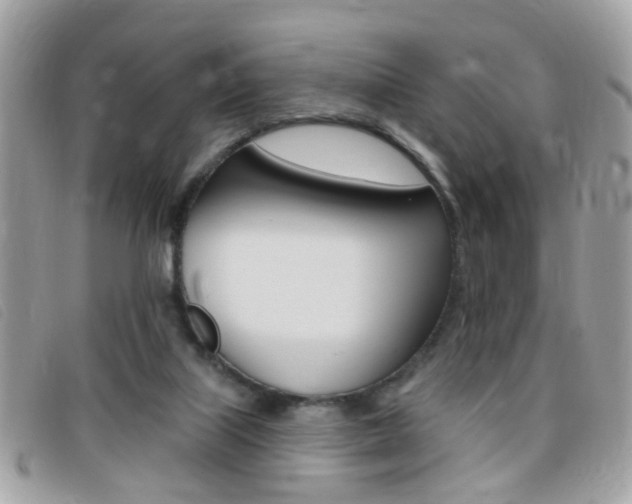 X0000095900067200801110814