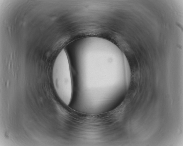 X0000095900070200801110814