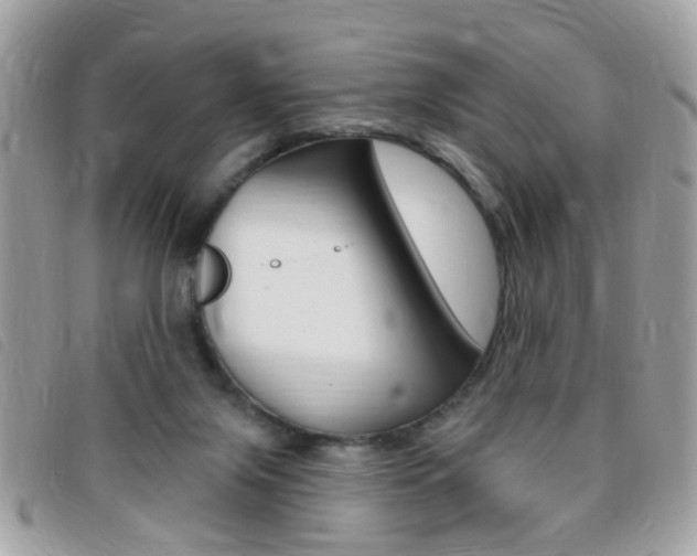 X0000095900071200801110814