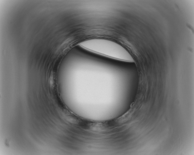 X0000095900074200801110814