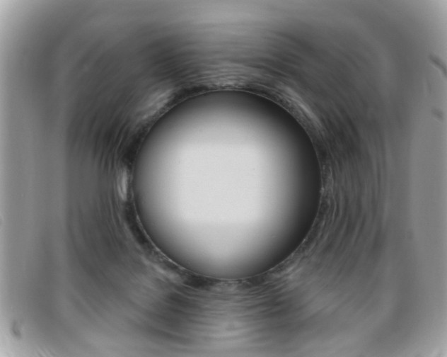 X0000095900076200801110814