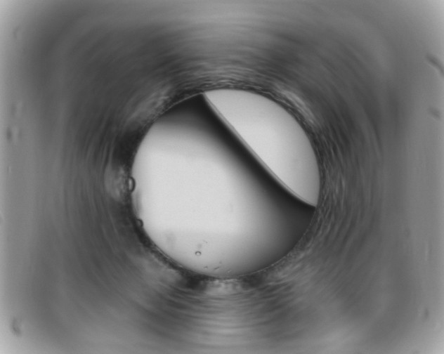 X0000095900077200801110814
