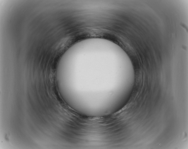 X0000095900078200801110814
