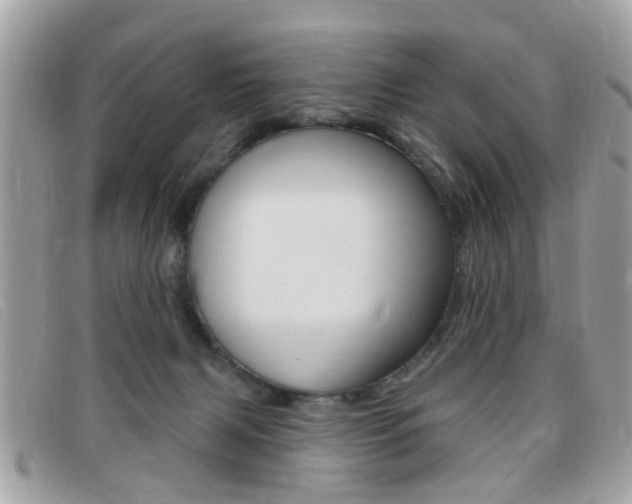 X0000095900079200801110814