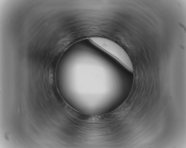 X0000095900080200801110814