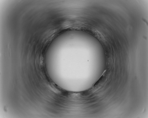 X0000095900081200801110814