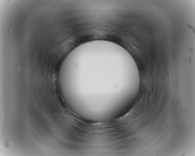 X0000095900082200801110814