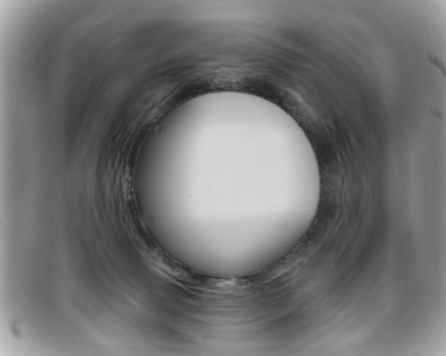 X0000095900083200801110814