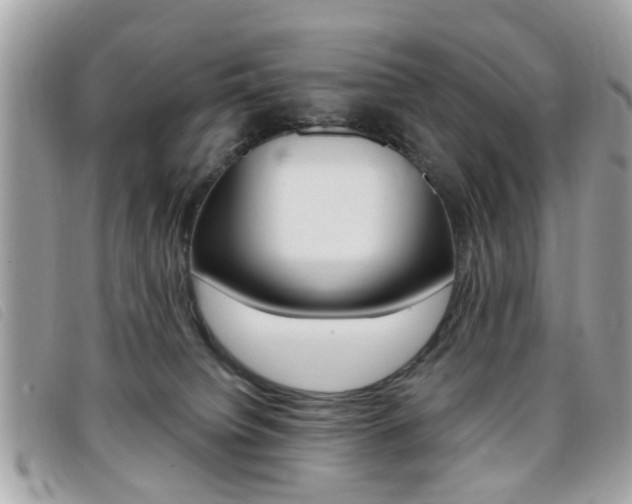 X0000095900084200801110814