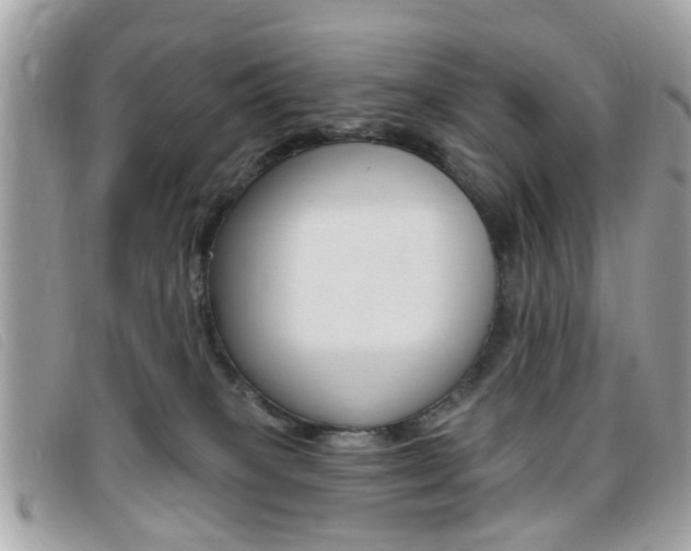 X0000095900085200801110814