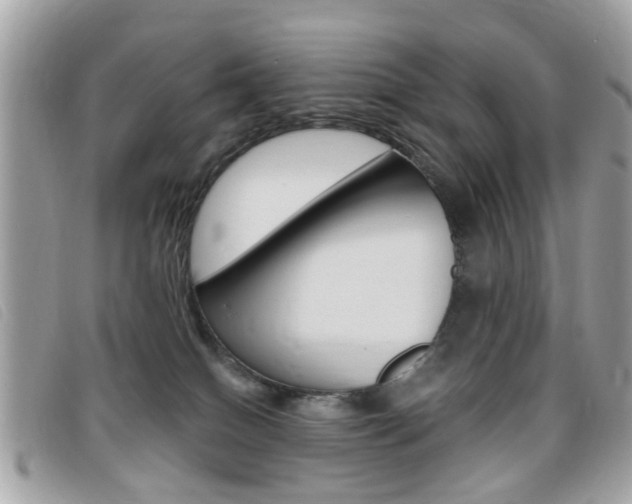 X0000095900086200801110814
