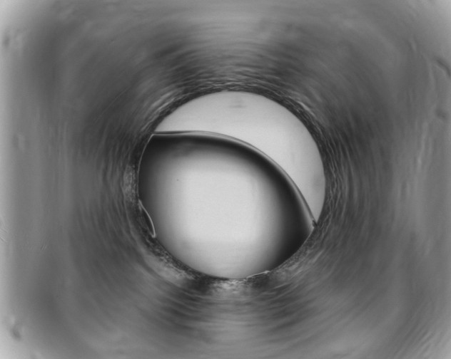 X0000095900092200801110814