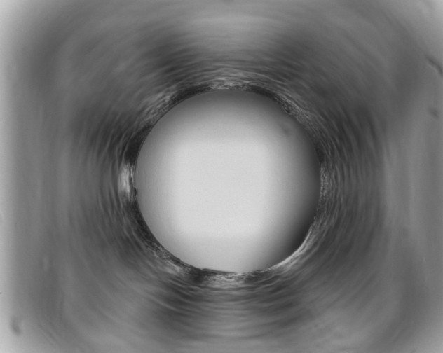 X0000095900094200801110815