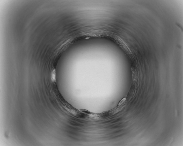 X0000095900095200801110815