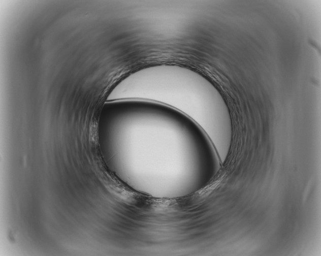 X0000095900096200801110815