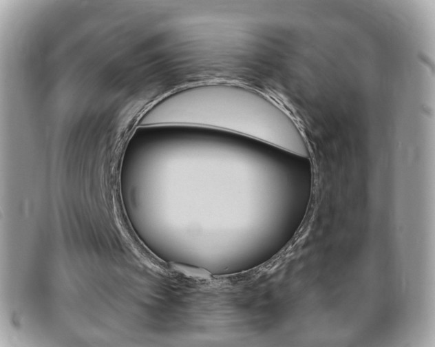 X0000095900097200801110814