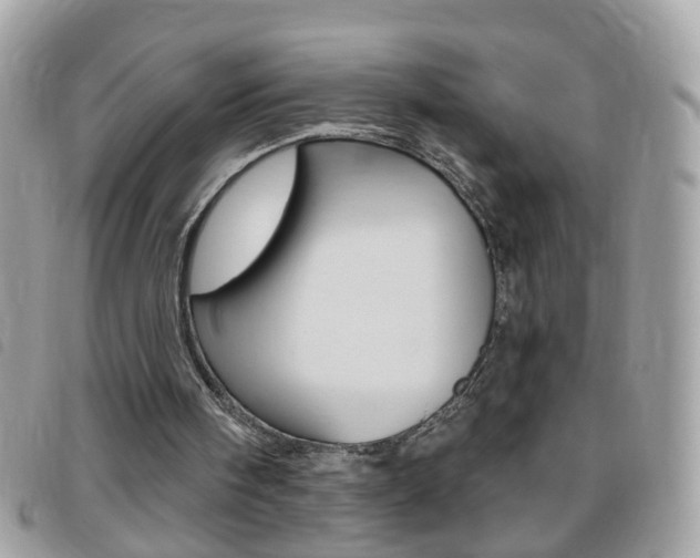 X0000095900098200801110814