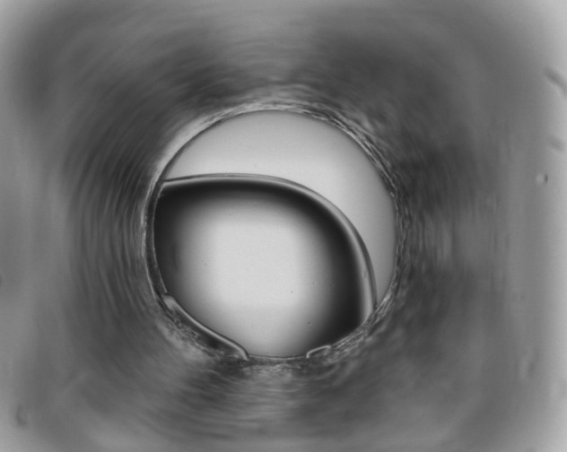 X0000095900100200801110814