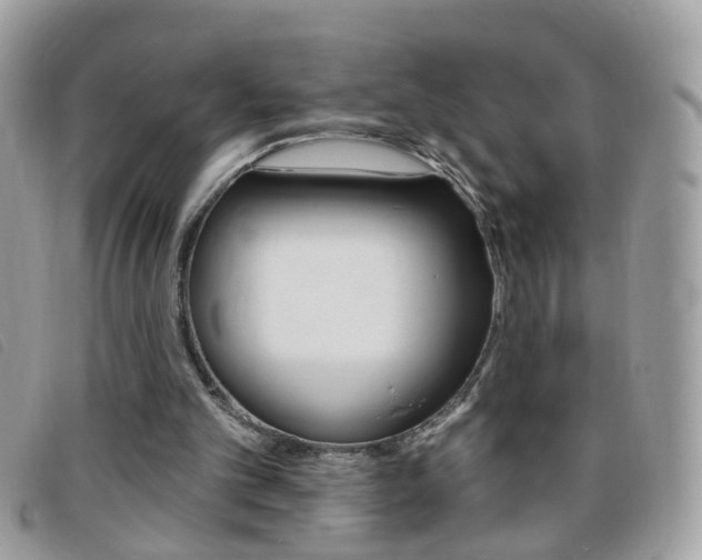 X0000095900101200801110814