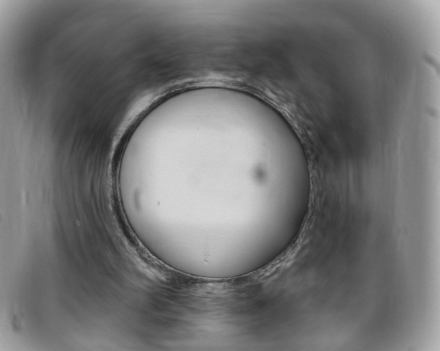 X0000095900102200801110814