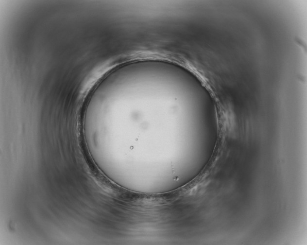 X0000095900103200801110814