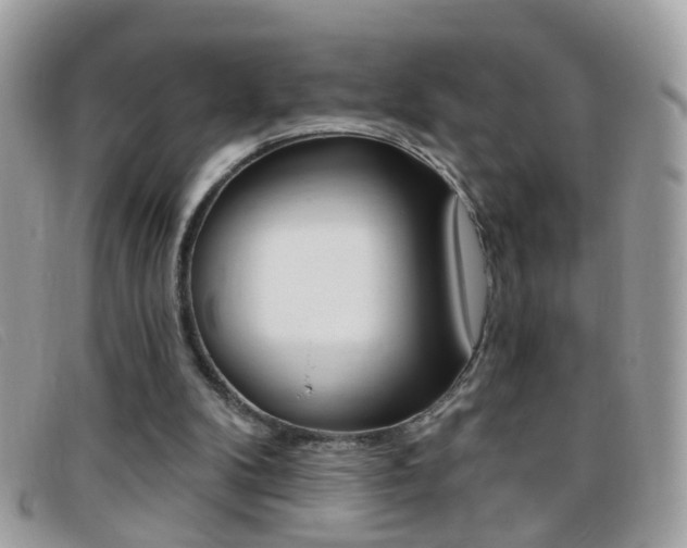 X0000095900104200801110814