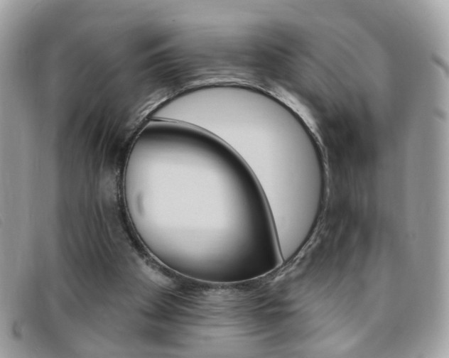 X0000095900105200801110814