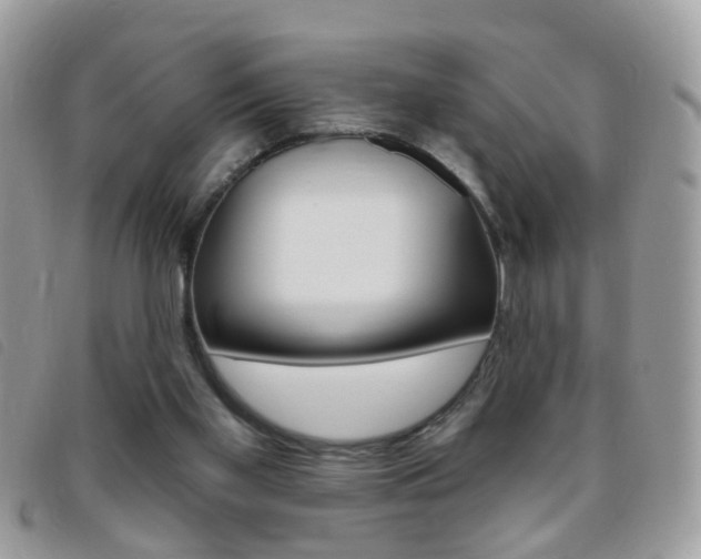 X0000095900109200801110814