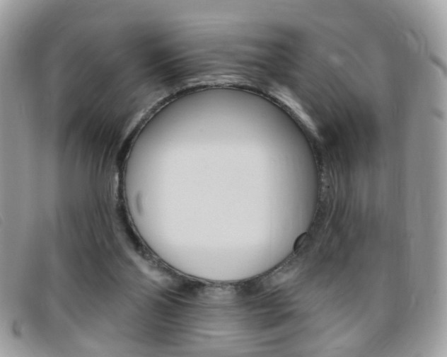 X0000095900110200801110814