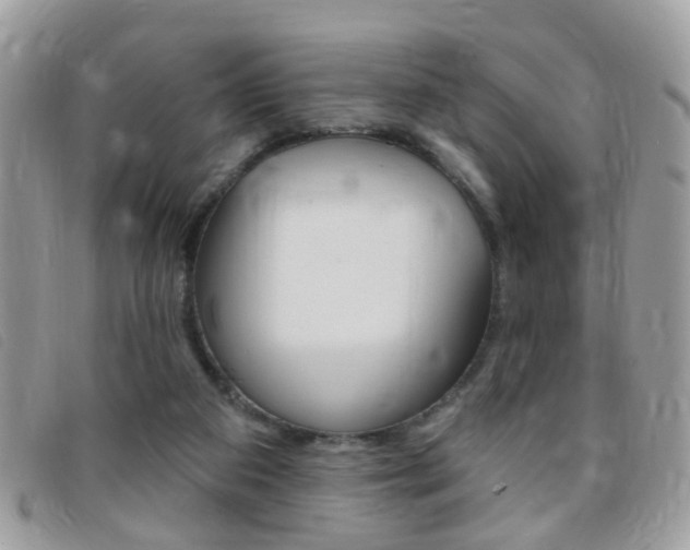 X0000095900113200801110814