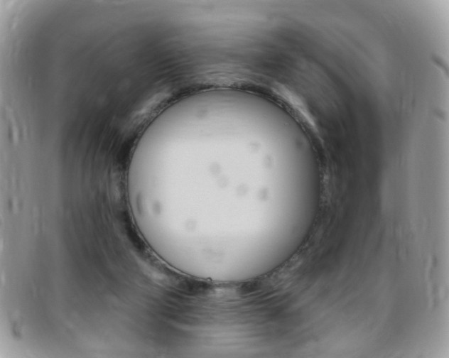 X0000095900114200801110813