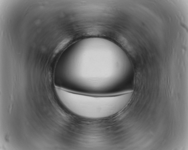 X0000095900116200801110813